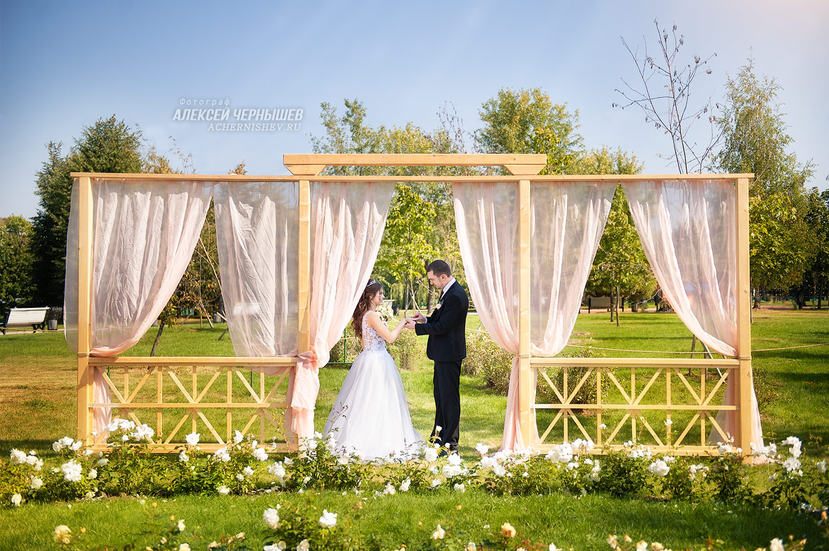 жених одевает кольцо невесте под аркой регистрации